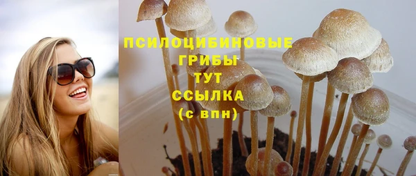 apvp Навашино