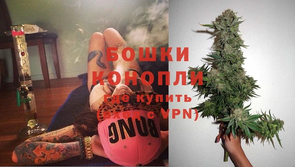 бошки Нея