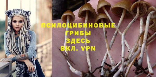 амфетамин Гусь-Хрустальный